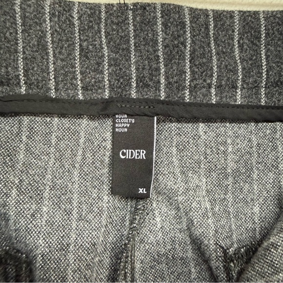 Cider Wide Leg Gray Pinstripe Pleated Trousers - Picture 9 of 11